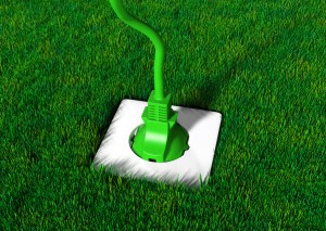 a green plug is connected into a white socket in a meadow of short grass