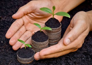 hands holding trees growing on coins / csr